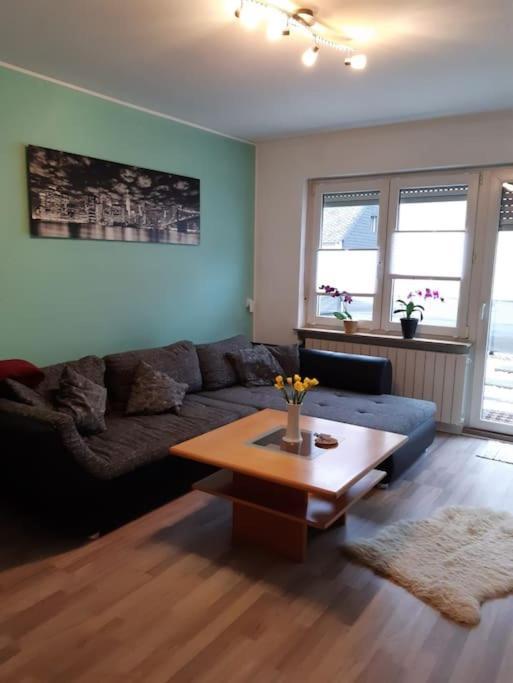 Ferienwohnung Philippi - Moselblick Mit Grosser Dachterrasse, 75 Qm, Hunde Willkommen Mehring  Exteriér fotografie